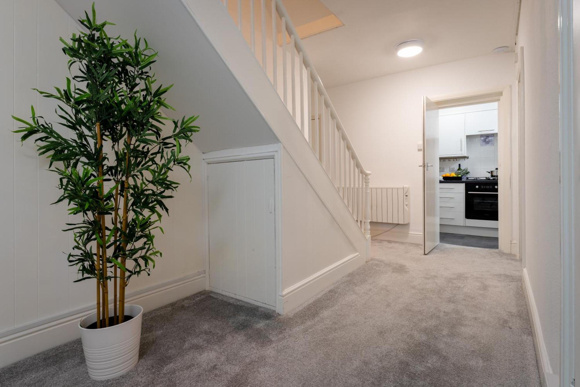 Apartment Near Beach, Heights Modern Apartments, Pet Friendly