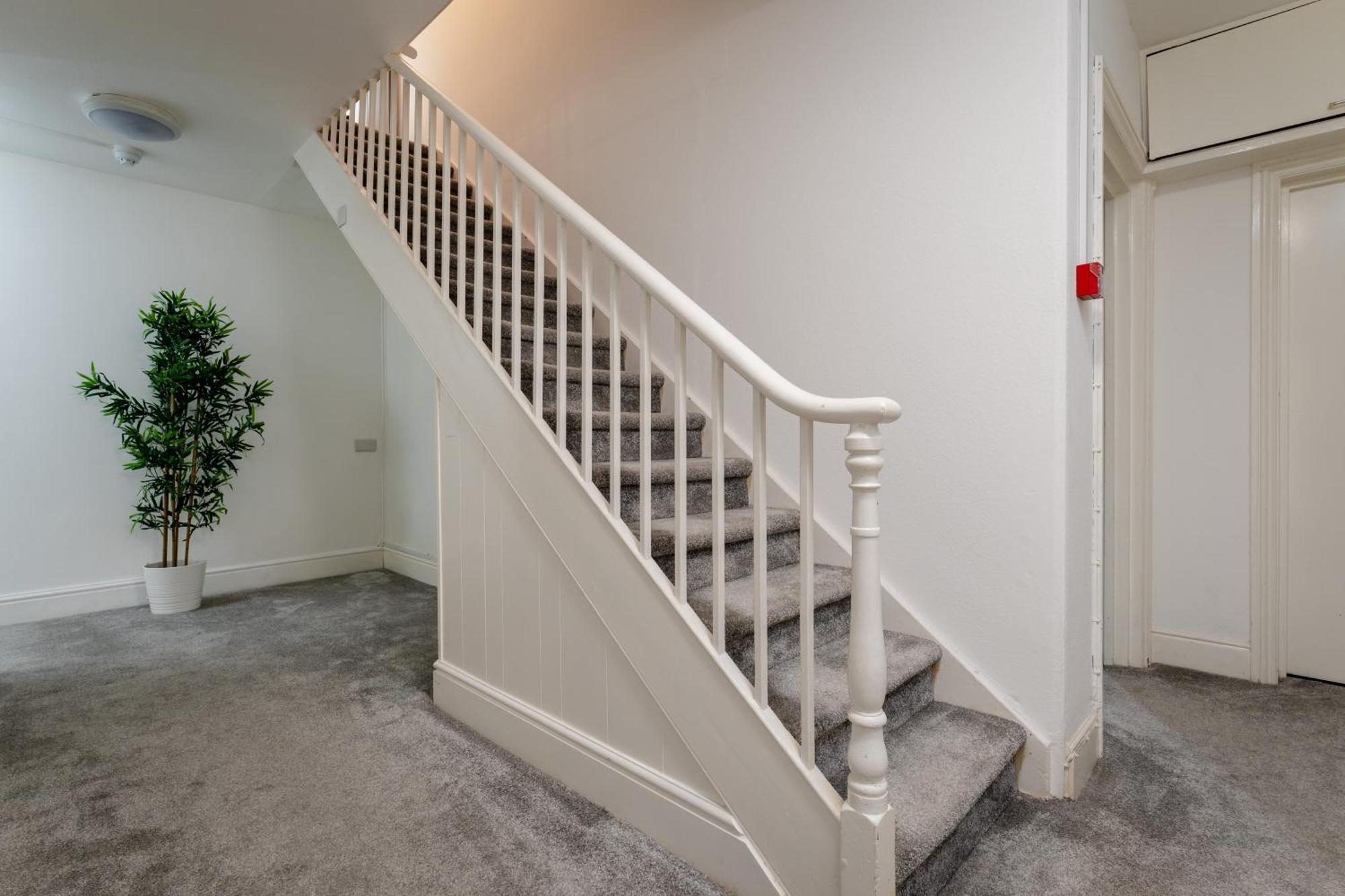 Near Beach, Heights Modern Apartments, Pet Friendly Torquay